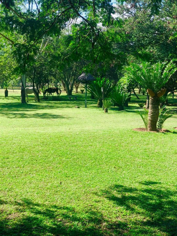 Hotel Jock Of The Bushveld Barberton Zewnętrze zdjęcie