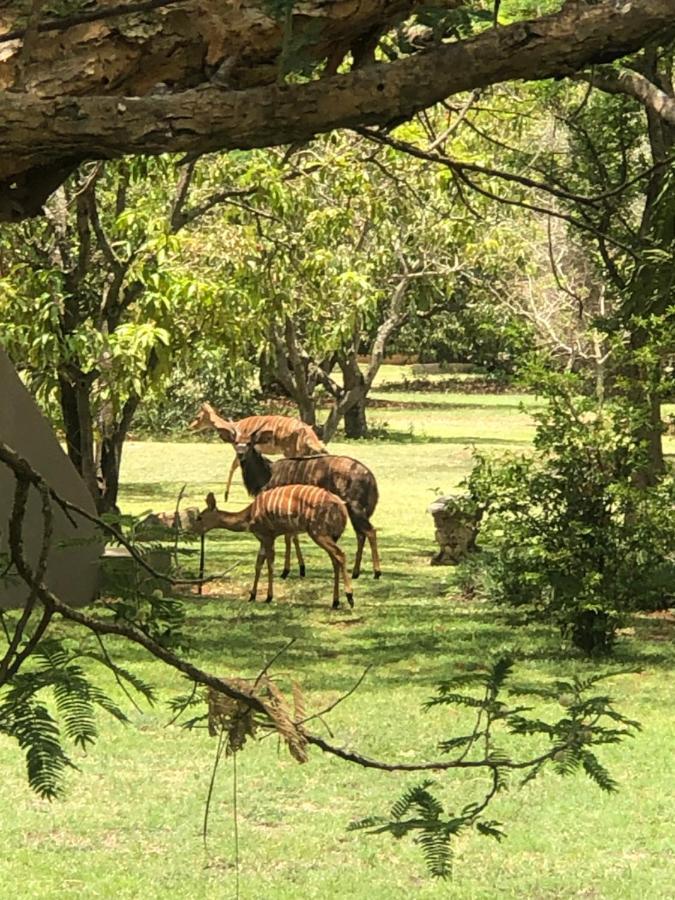Hotel Jock Of The Bushveld Barberton Zewnętrze zdjęcie
